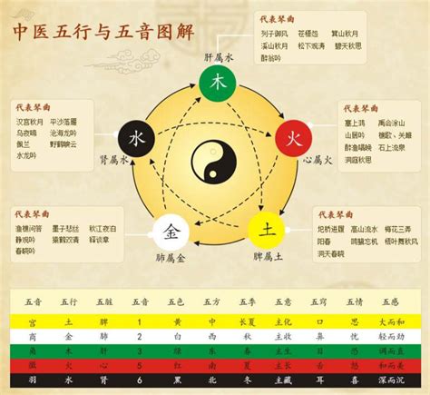 五行中|五行（中医术语）